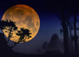 «Рассеянная» Луна