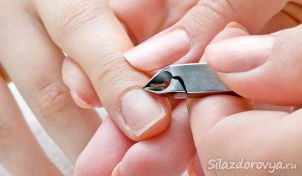 Как укрепить ногти в домашних условиях